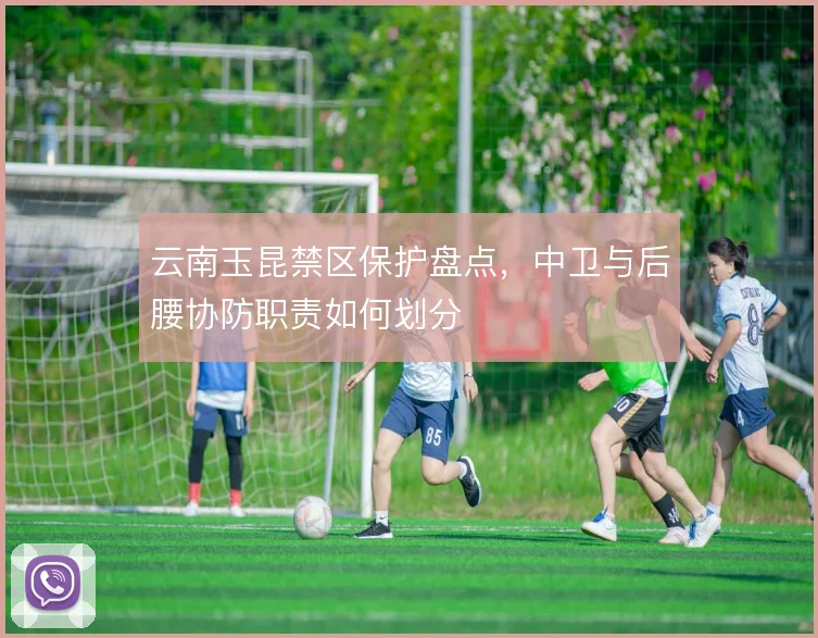 云南玉昆禁区保护盘点,中卫与后腰协防职责如何划分
